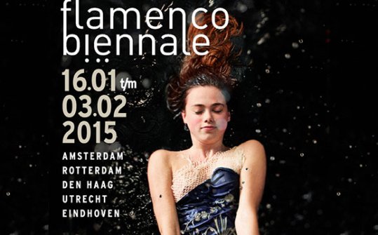 Flamenco Biennial Netherlands 2014
